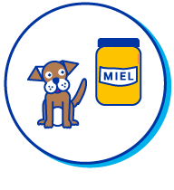 Picto Chien Miel