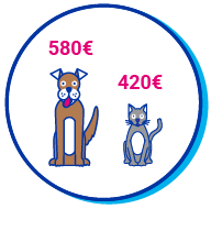 Picto chien et chat