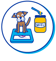 Picto Chien Miel Balance