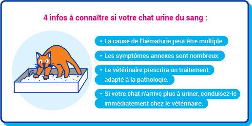 chat urine
