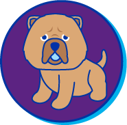 Picto chow-chow