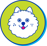 Picto chien samoy&egrave;de