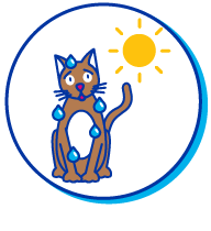 Picto chat soleil