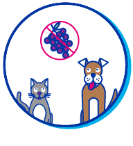 Picto chien raisin