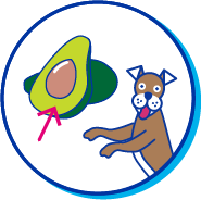 Picto chien avocat