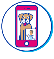 Picto t&eacute;l&eacute;phone visio chien