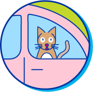 Picto passeport chat