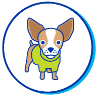 Picto chien pull