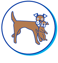 Picto chiot et chienne