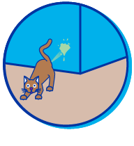 Picto marquage chat