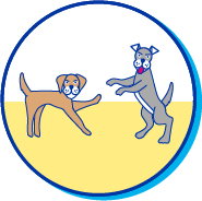 Picto bagarre chien