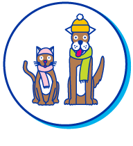 Picto chat chien bonnets