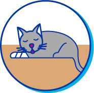 Picto chat patte cass&eacute;e