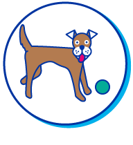 Picto chien balle