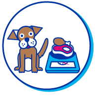 Picto chiot balance