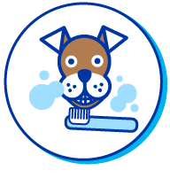 Picto chien brossage de dents