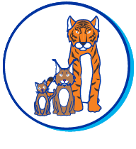 Picto chat lynx
