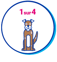 Picto chien pelage