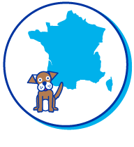 Picto chien carte de France