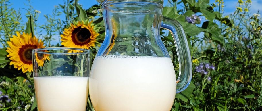 Comment faire son propre lait de soya maison