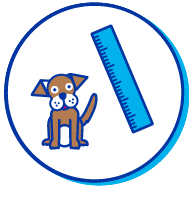 Picto chien r&egrave;gle