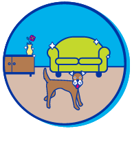 Picto chien salon