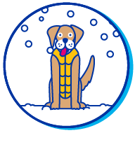 Picto chien hiver