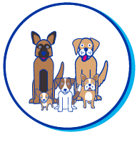 Picto chien races