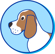 Picto chien odorat
