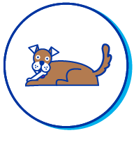 Picto chien os