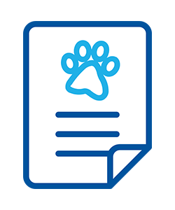Assurance Animaux Chien Et Chat Carrefour Assurance