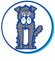 Picto chien vieux