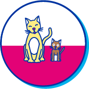Picto chat chaton
