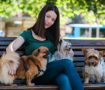 petsitter chiens