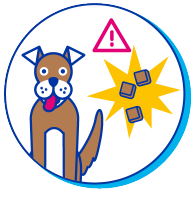 Friandises pour chien