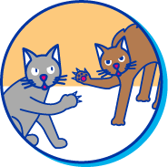 Picto morsure chat