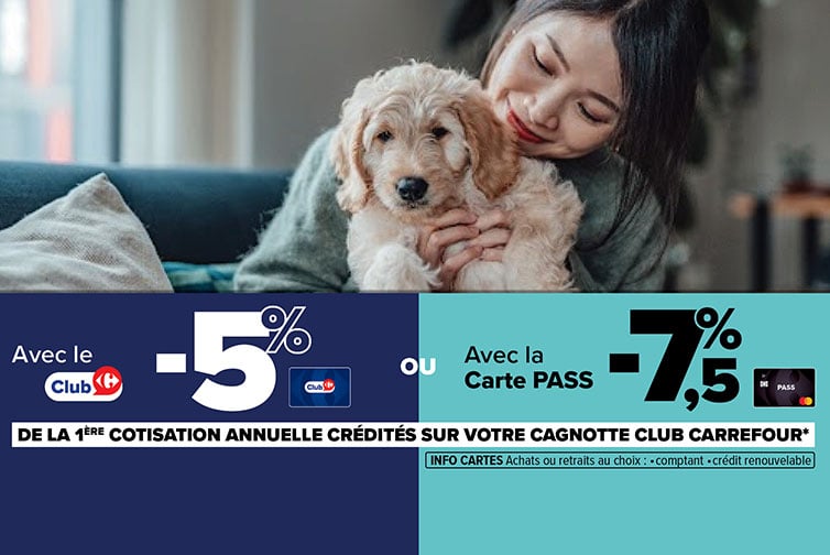 Assurance chiot