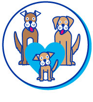 Picto reproduction chien
