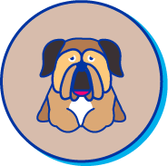 Picto d'un chiot mastiff
