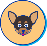 Picto chien chihuahua