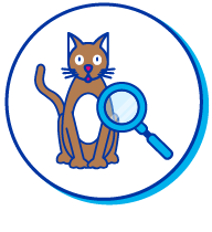 Picto chat loupe