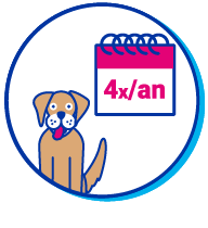 Picto chien calendrier