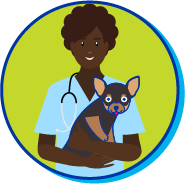 Picto chien hom&eacute;opathie