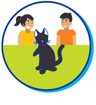 Picto chat burmese