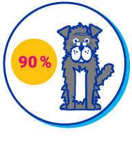 Picto chien &acirc;g&eacute;