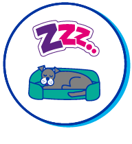 Picto chien dort