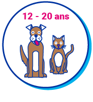 &acirc;ge chien chat