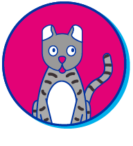 Picto scottish fold