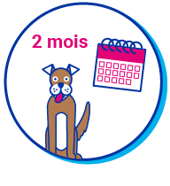 Picto chien calendrier