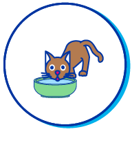 Picto chaton sevrage